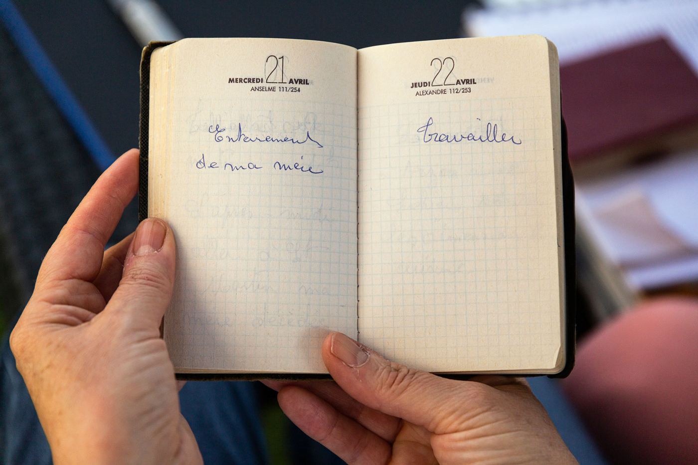 Famille Platane : agenda du père