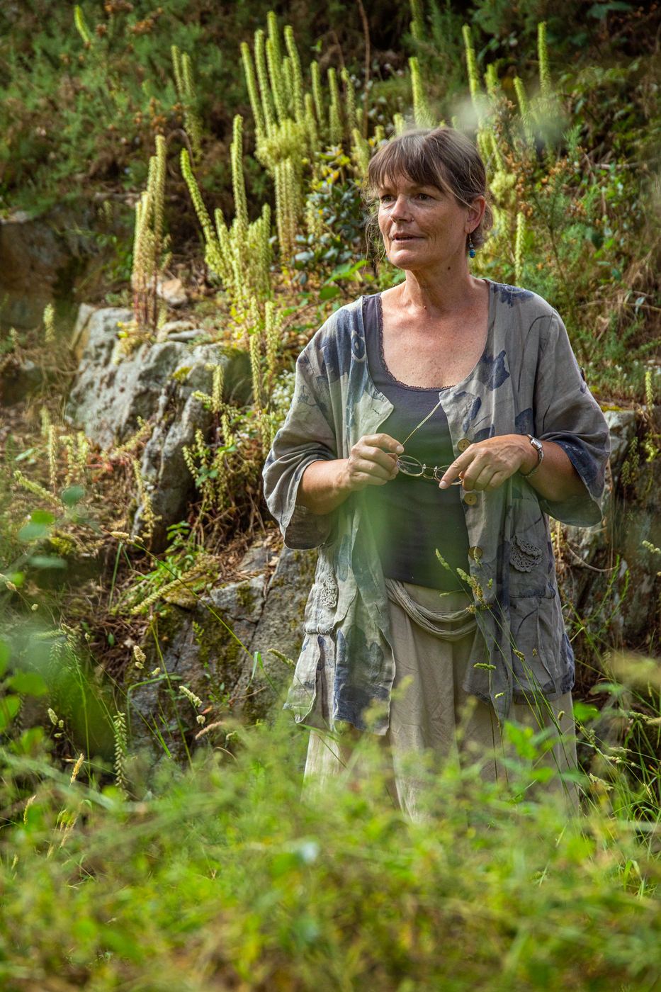 Famille Cerisier : Anatolie