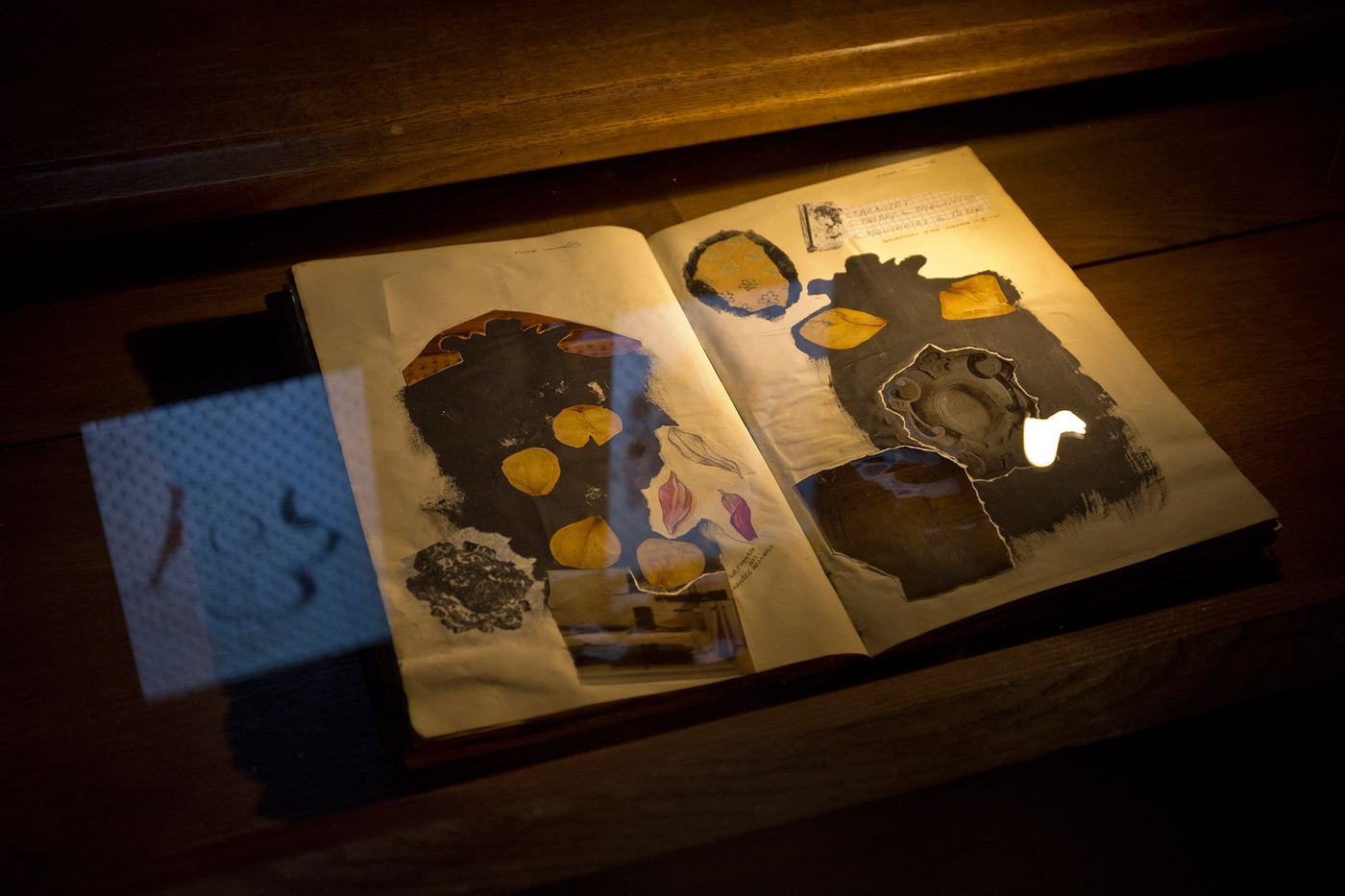 La Disparition, vue d'exposition