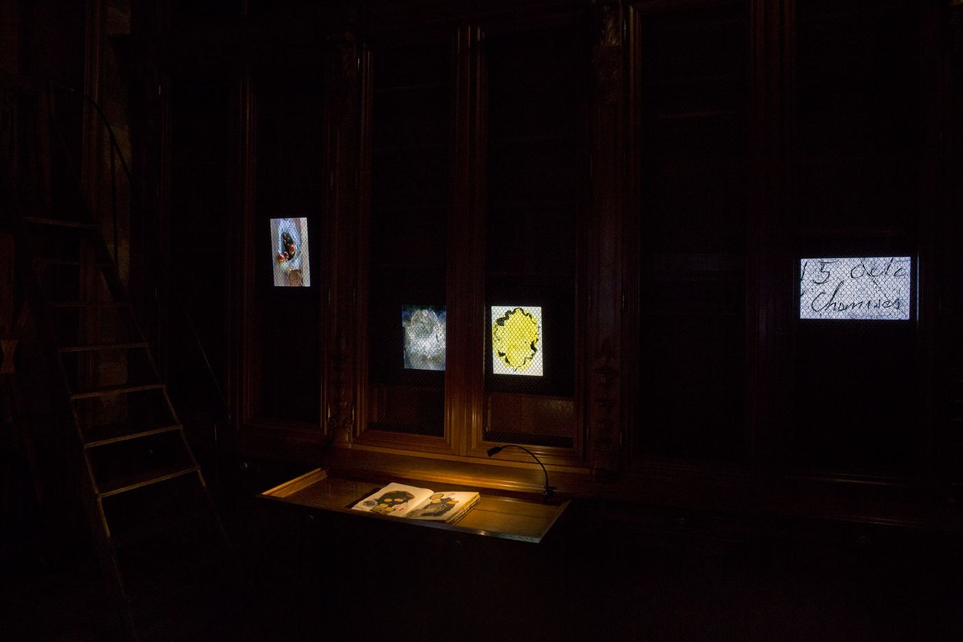 La Disparition, vue d'exposition