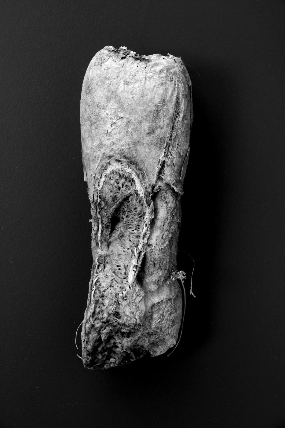 Kerguéhennec 5989