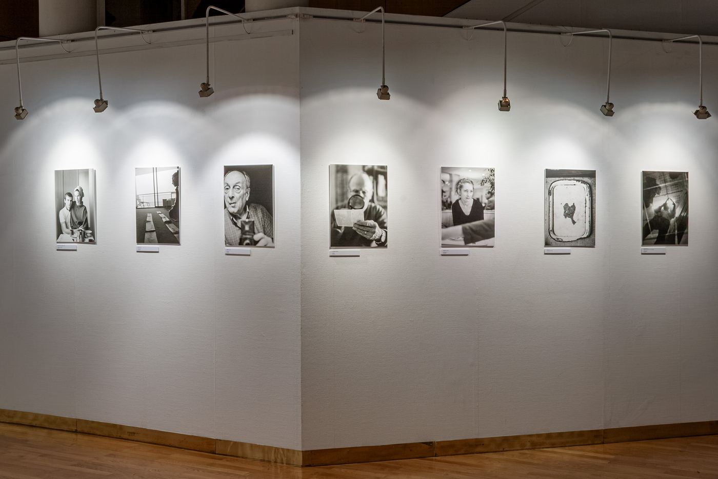 Franco-hongrois, vue d’exposition