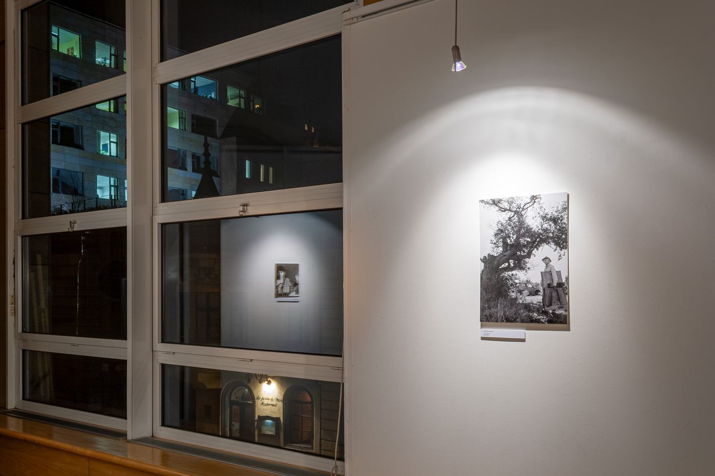 Franco-hongrois, vue d’exposition