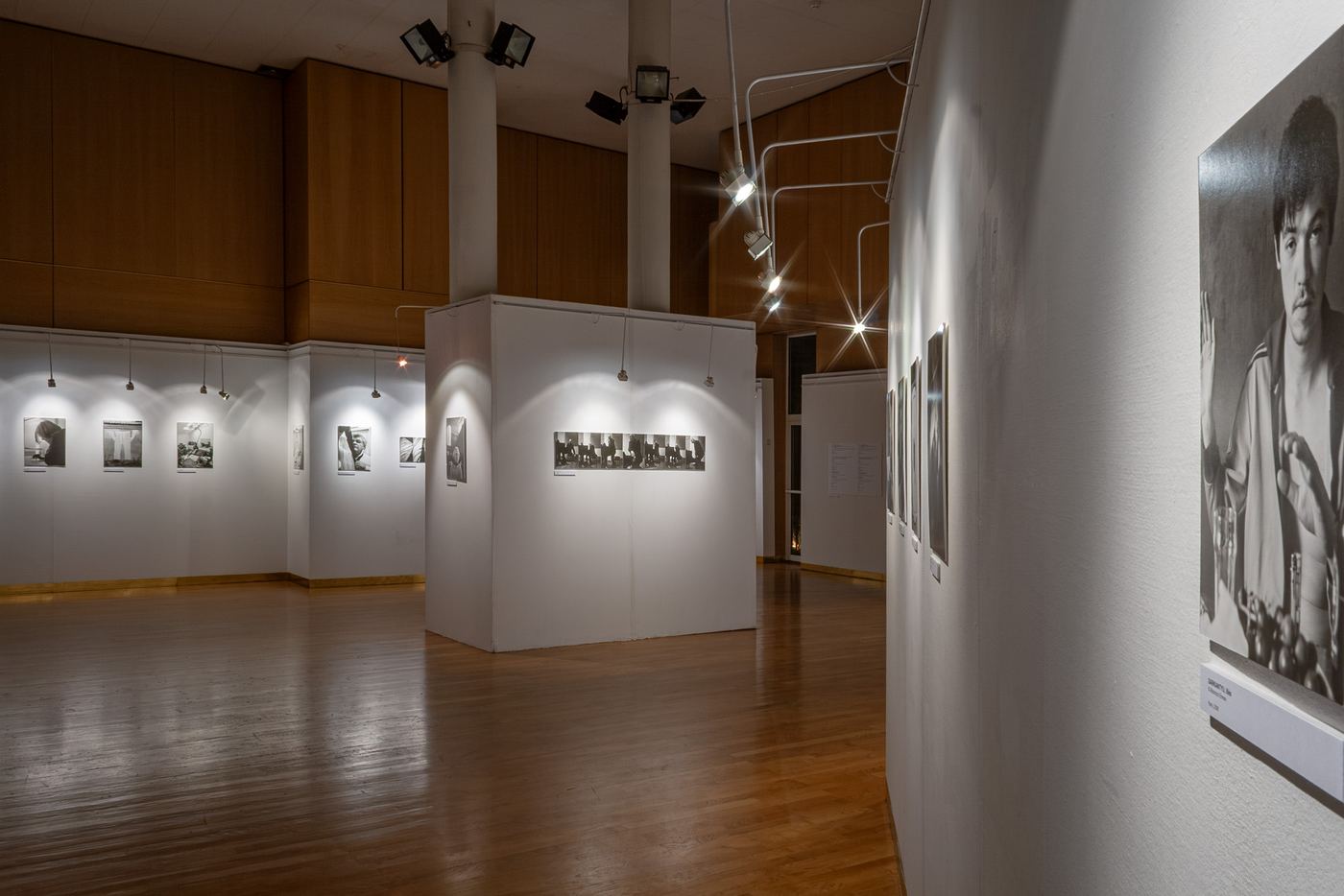 Franco-hongrois, vue d’exposition