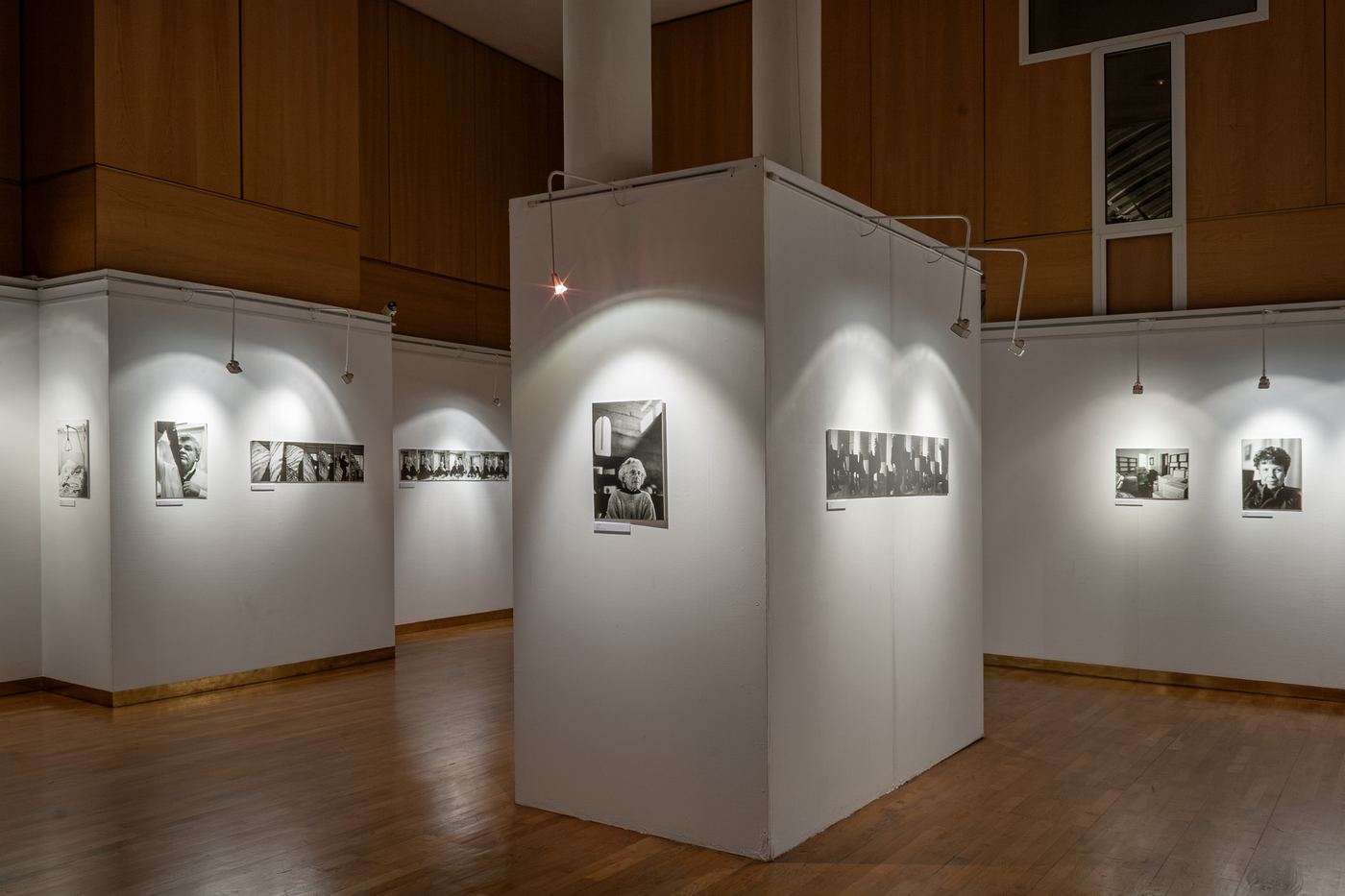 Franco-hongrois, vue d’exposition