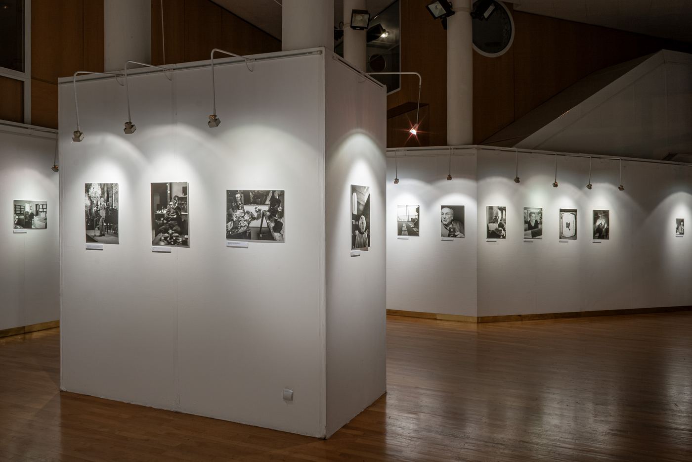 Franco-hongrois, vue d’exposition