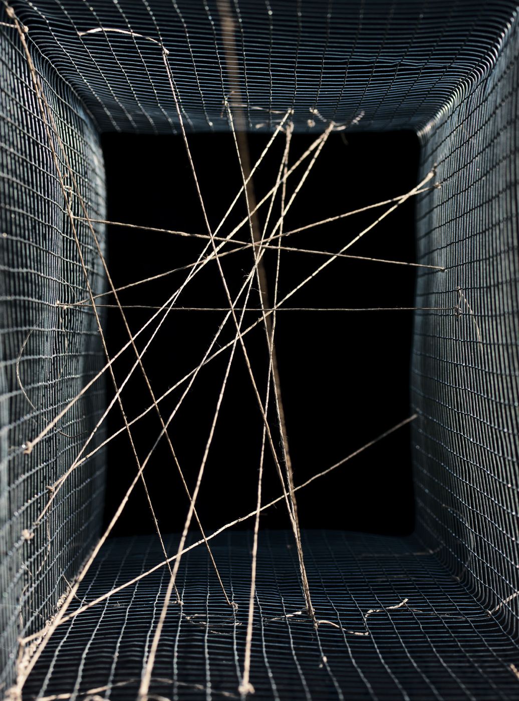 Son image vectorielle