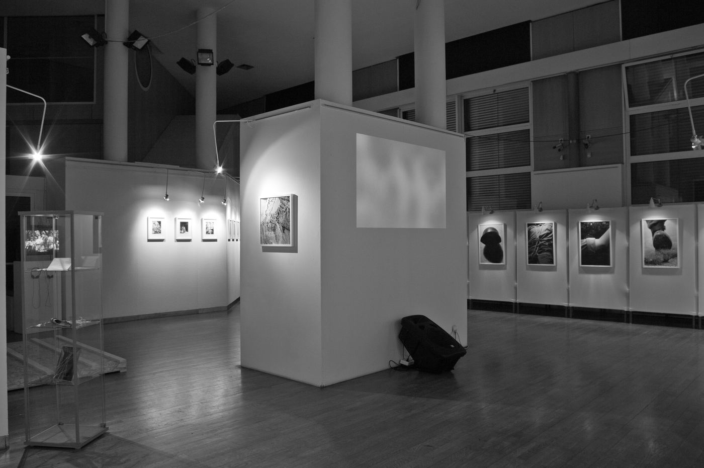 Mihály, vue d’exposition