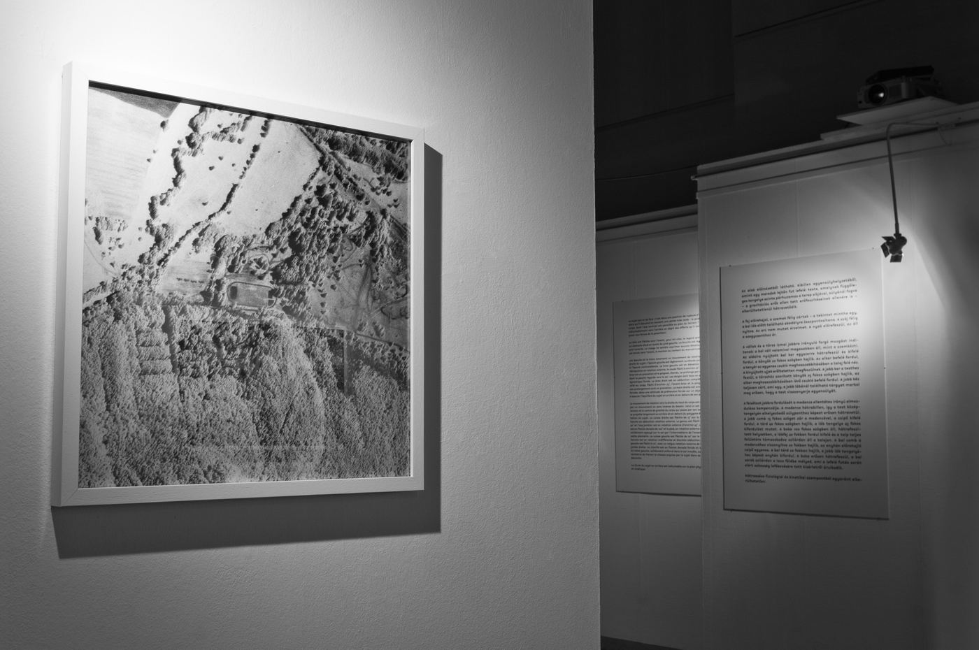 Mihály, vue d’exposition