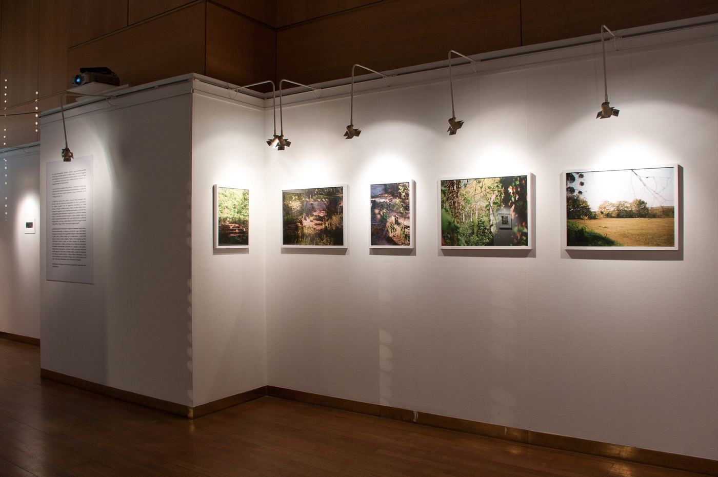 Mihály, vue d’exposition