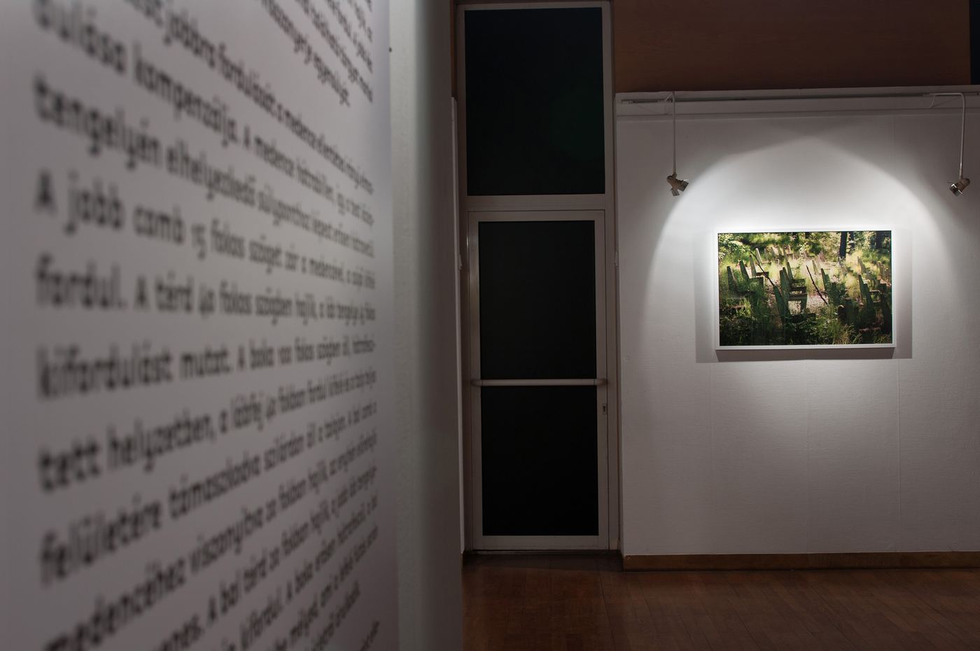 Mihály, vue d’exposition