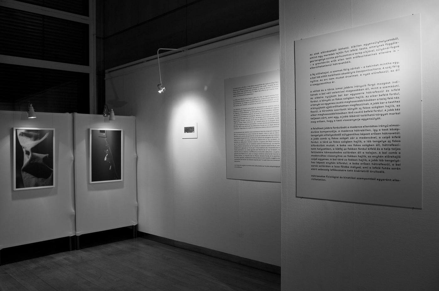 Mihály, vue d’exposition