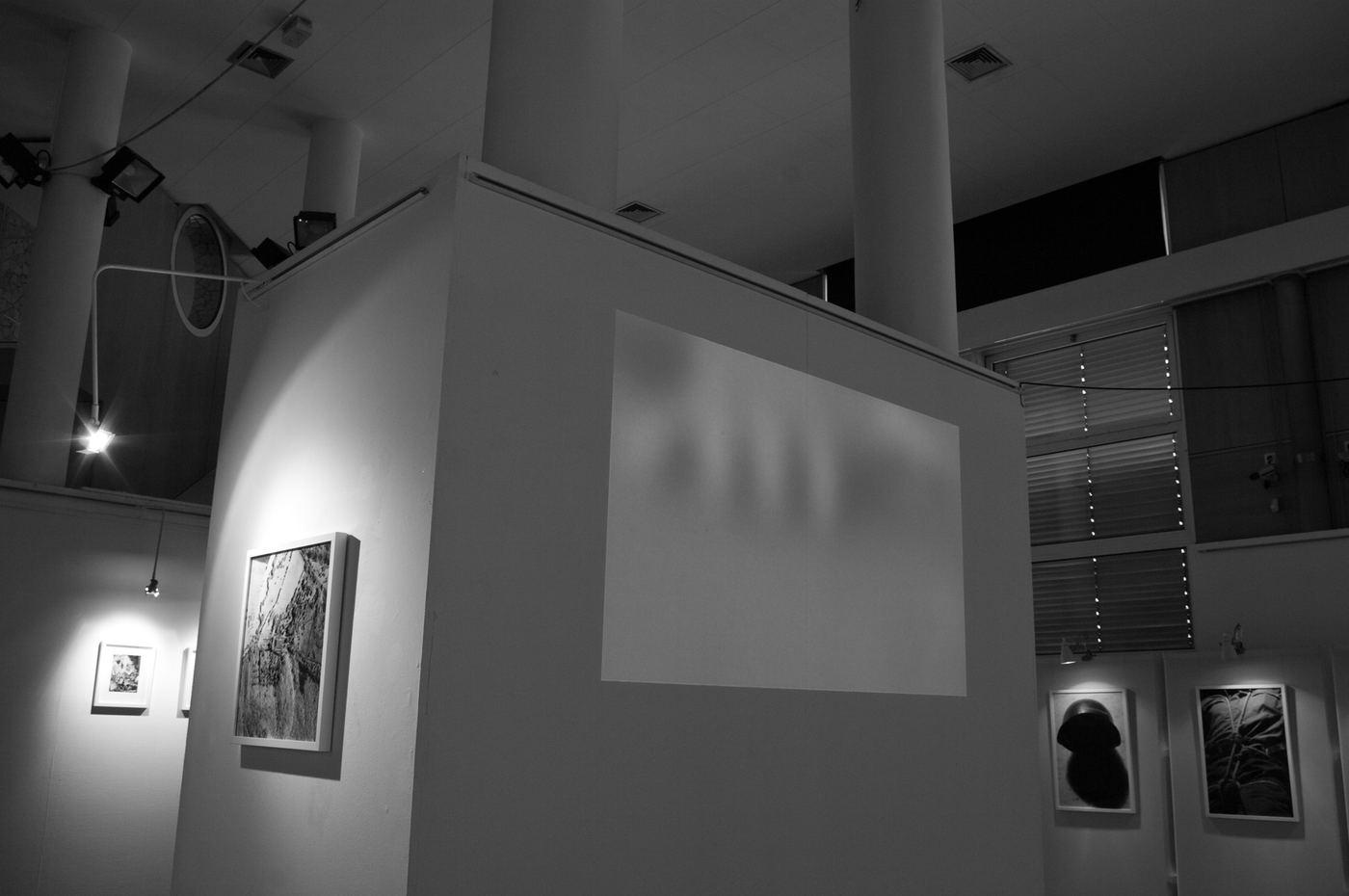 Mihály, vue d’exposition