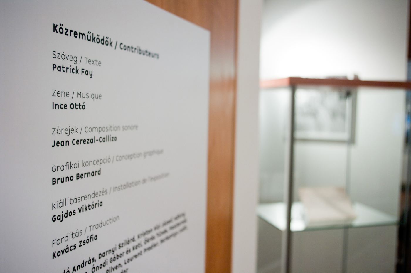 Mihály, vue d’exposition
