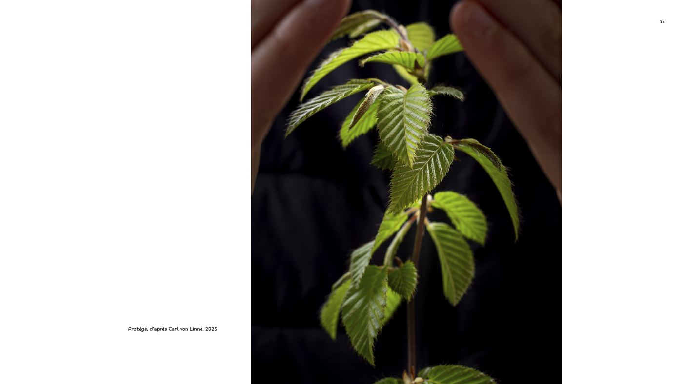 ://: Latentes, double page