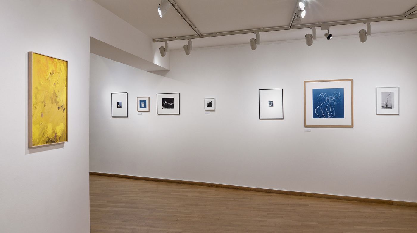 Paraphrases, vue d'exposition