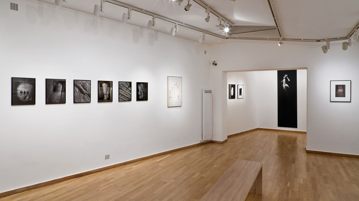 Paraphrases, vue d'exposition