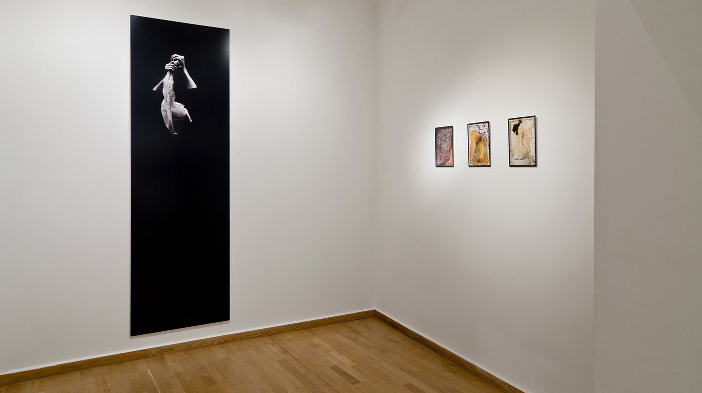 Paraphrases, vue d'exposition