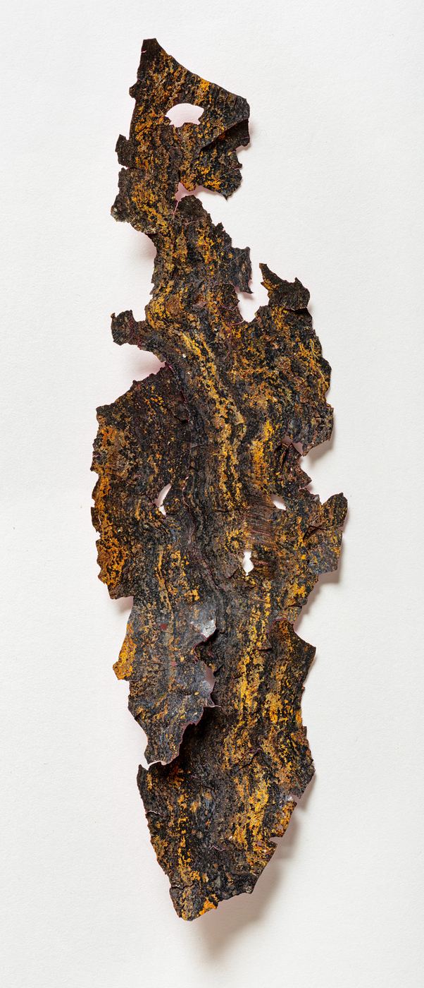 Sans titre (écaille de peinture), 22 janvier 2020
